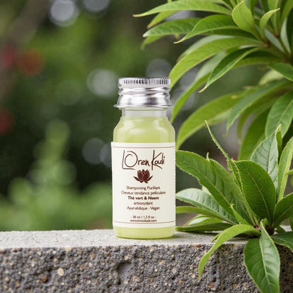 Mini Shampoing ayurvédique Purifiant - Thé vert &amp; Neem