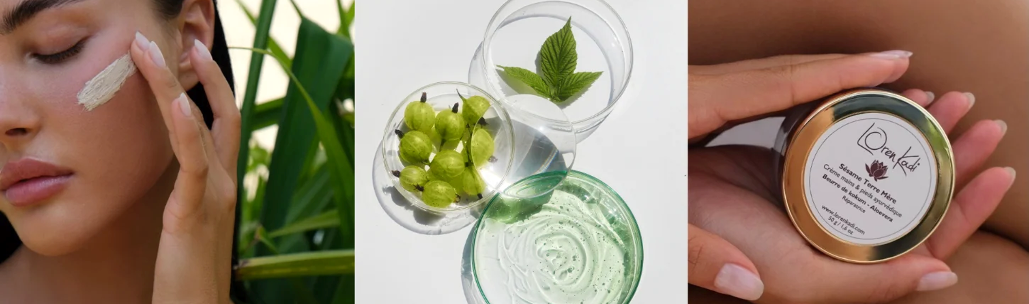 Bio, naturel ou d'origine naturelle : quelle différence ?