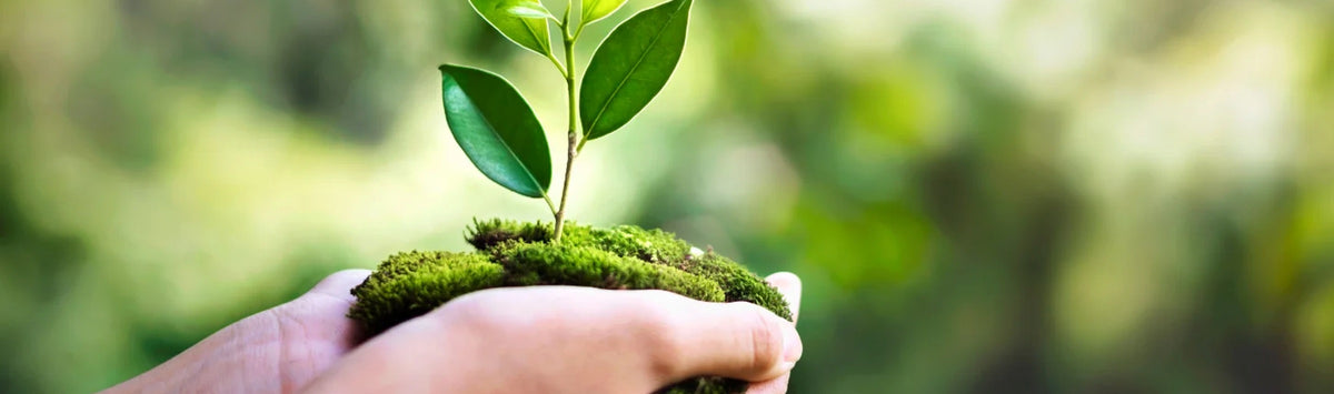 Notre éthique : les engagements derrière nos cosmétiques